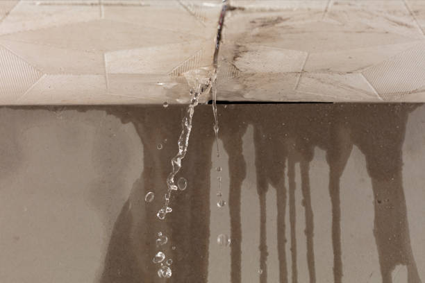 Professional Burst Pipe Cleanup technician working in Atlanta, IL